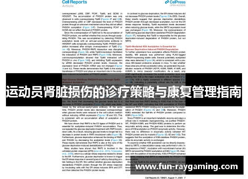 运动员肾脏损伤的诊疗策略与康复管理指南